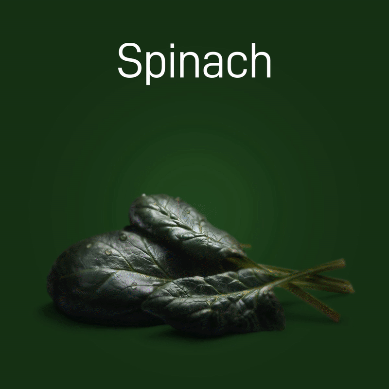 spinach-03